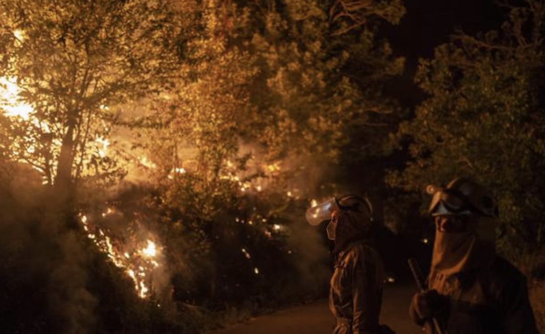 ▲受極端熱浪影響，西班牙全國38處森林大火。（圖／翻攝自EFE）