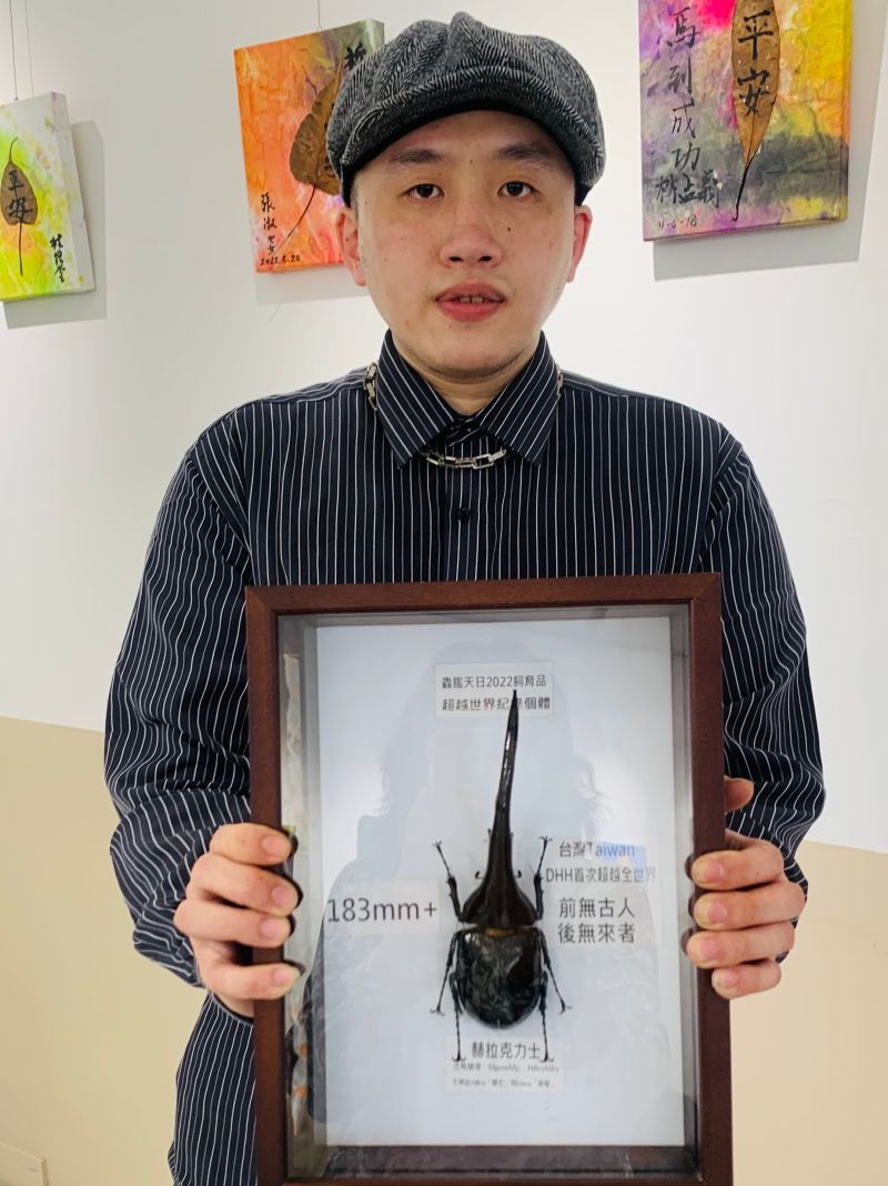 ▲陳中錦養的甲蟲一隻比一隻壯，圖中的長戟大兜蟲比世界紀錄還大一公釐。（圖／記者顏幸如攝，2022.07.20）