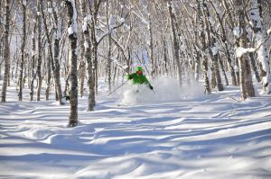 ▲Club Med日本北海道Tomamu、Sahoro滑雪度假村一直深受台灣滑雪客的熱愛與冬季度假首選。（圖／Club Med提供）