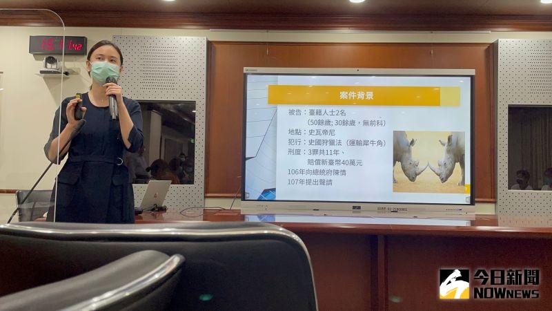 ▲國兩司調部辦事檢察官戎婕。(圖/記者潘千詩攝,2022.07.20)