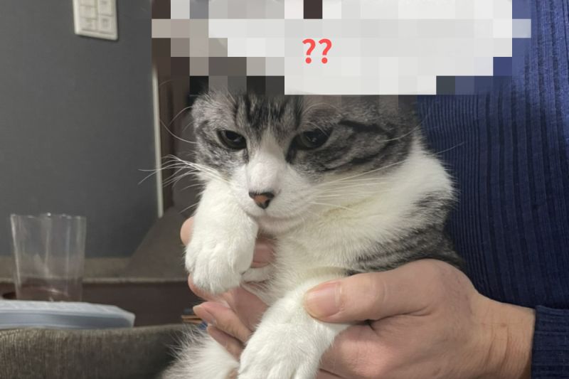 ▲日本一名飼主出招成功封印貓咪，讓牠乖乖剪指甲。（圖／推特帳號sirokuro_nasi）