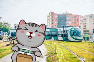 「塔仔」迎文博遊高雄　VITA VITA：阿母，我出運啦！
