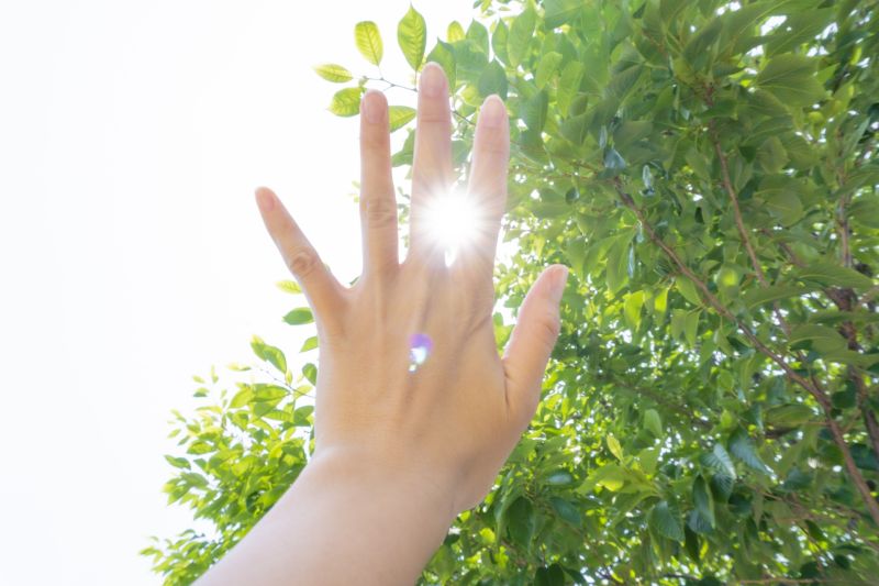 ▲吃下正確的營養素，有助於防曬及美白肌膚。（示意圖／取自photo AC）