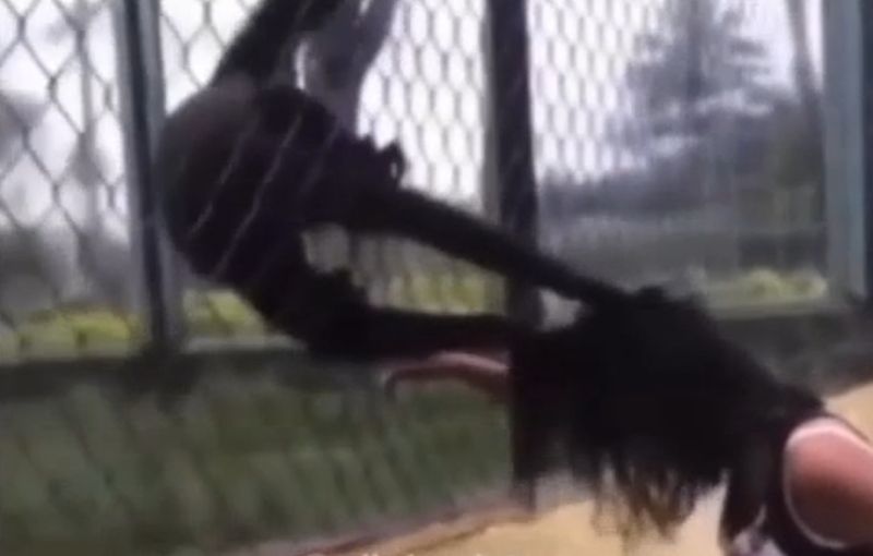 驚悚！女童拍鐵籠挑釁　下秒慘遭猴群「扯髮」險掀頭皮
