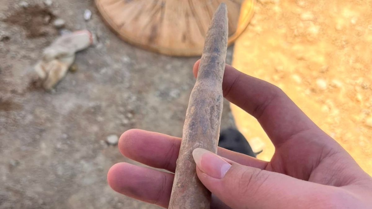 ▲有網友分享，他在施工時挖到一枚超像玉米筍的子彈，結果勾起大家當兵回憶。（圖／爆廢公社公開版）