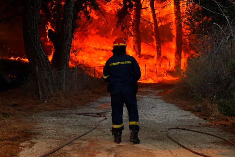 氣候變遷加劇森林野火　每分鐘燒掉16座足球場
