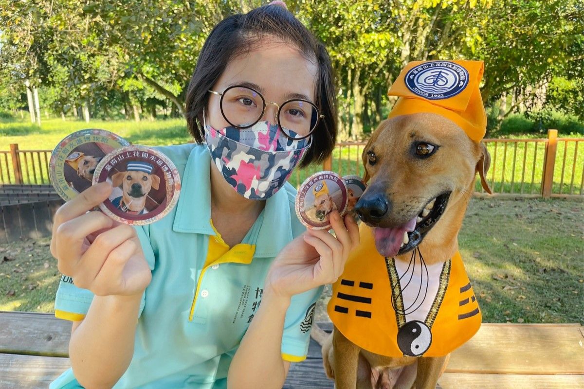 ▲鬼月限定！台南水道博物館「狗道士出沒」，激萌樣引討論。（圖／臺南山上花園水道博物館提供）