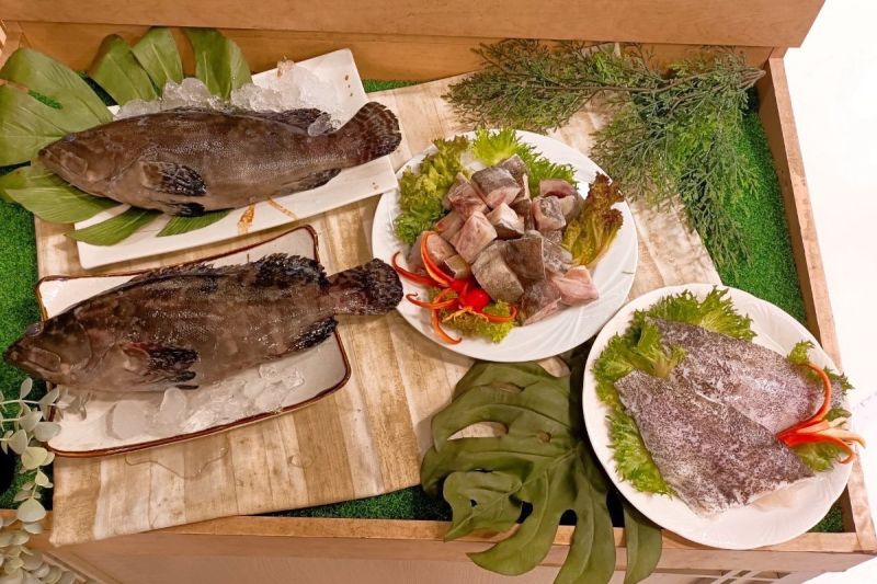 為國中小學童健康把關！漁業署對午餐溯源石斑魚安全
