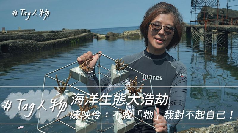 Tag人物/海洋生態大浩劫 陳映伶:不救「牠」對不起自己
