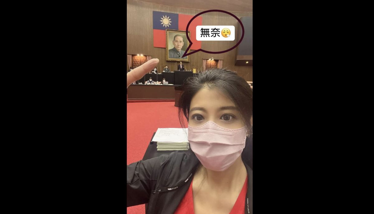 ▲民進黨立委林楚茵指出，國父遺像的修復費用，請國民黨團自己掏錢負責。（圖／林楚茵提供）