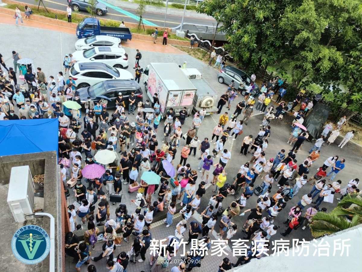 ▲新竹縣16隻品種貓領養活動，26日吸引超過566位民眾到場抽籤。（圖／翻攝自《新竹縣動物保護教育園區》臉書）