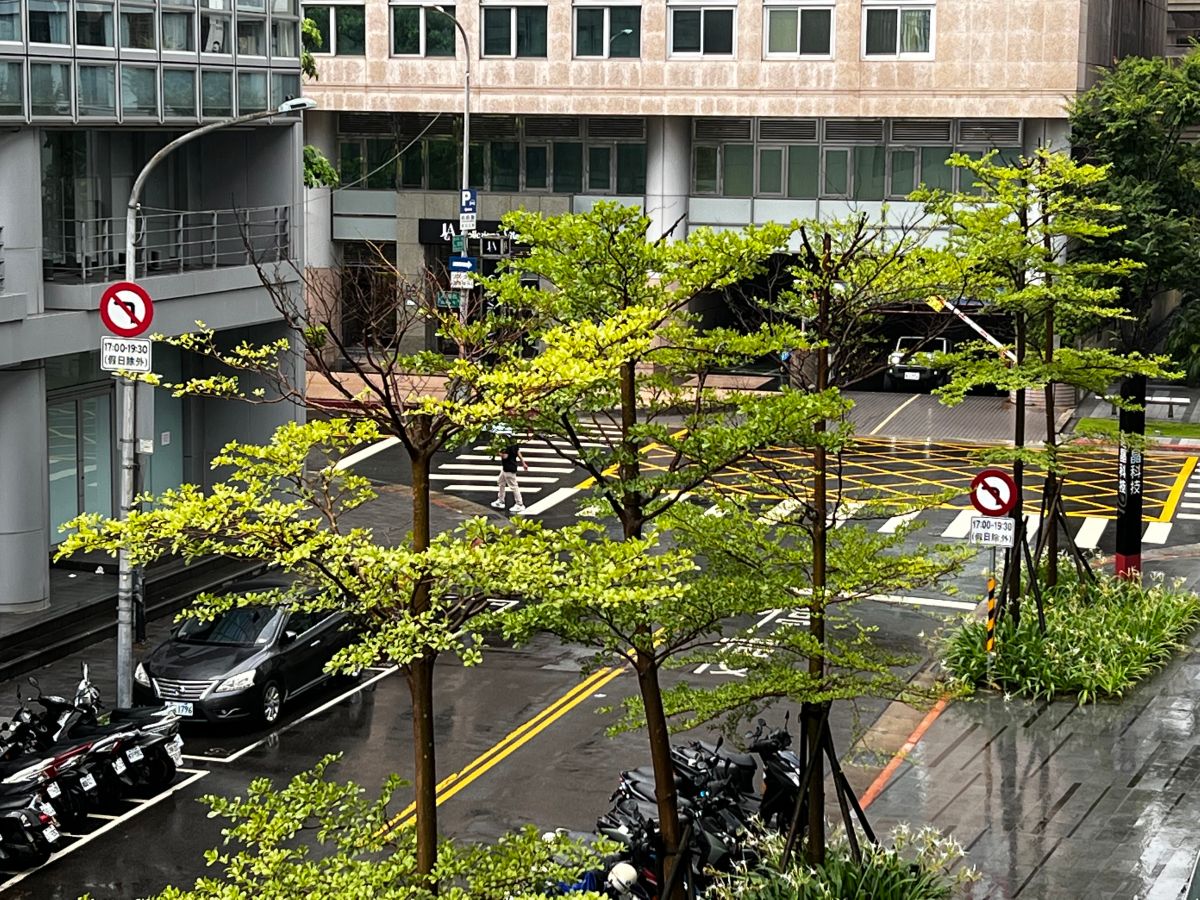 ▲中央氣象局表示，明後兩天午後熱對流發展旺盛，中南部、大台北地區及北部、東半部山區要留意有大雷雨。（圖／張勵德攝）