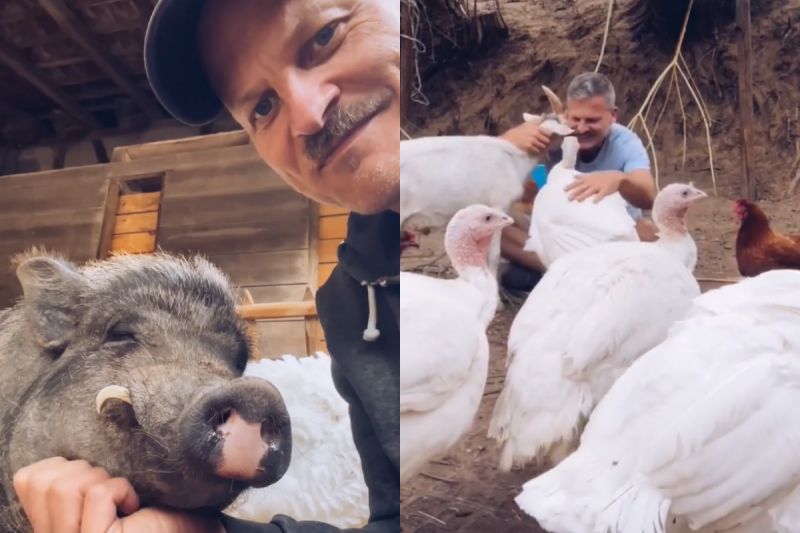 ▲農場中的動物全員都是「撒嬌鬼」，主人一蹲馬上靠近：「快給我抱抱」。（圖／Instagram：moustache_farmer）