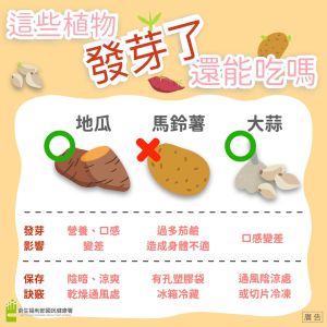 國民健康署分享,地瓜、大蒜即使發芽也能繼續食用,但馬鈴薯發芽後會產生茄鹼,請務必丟掉。(圖/Facebook:食在好健康) ▲國民健康署分享,地瓜、大蒜即使發芽也能繼續食用,但馬鈴薯發芽後會產生茄鹼,請務必丟掉。(圖/Facebook:食在好健康)