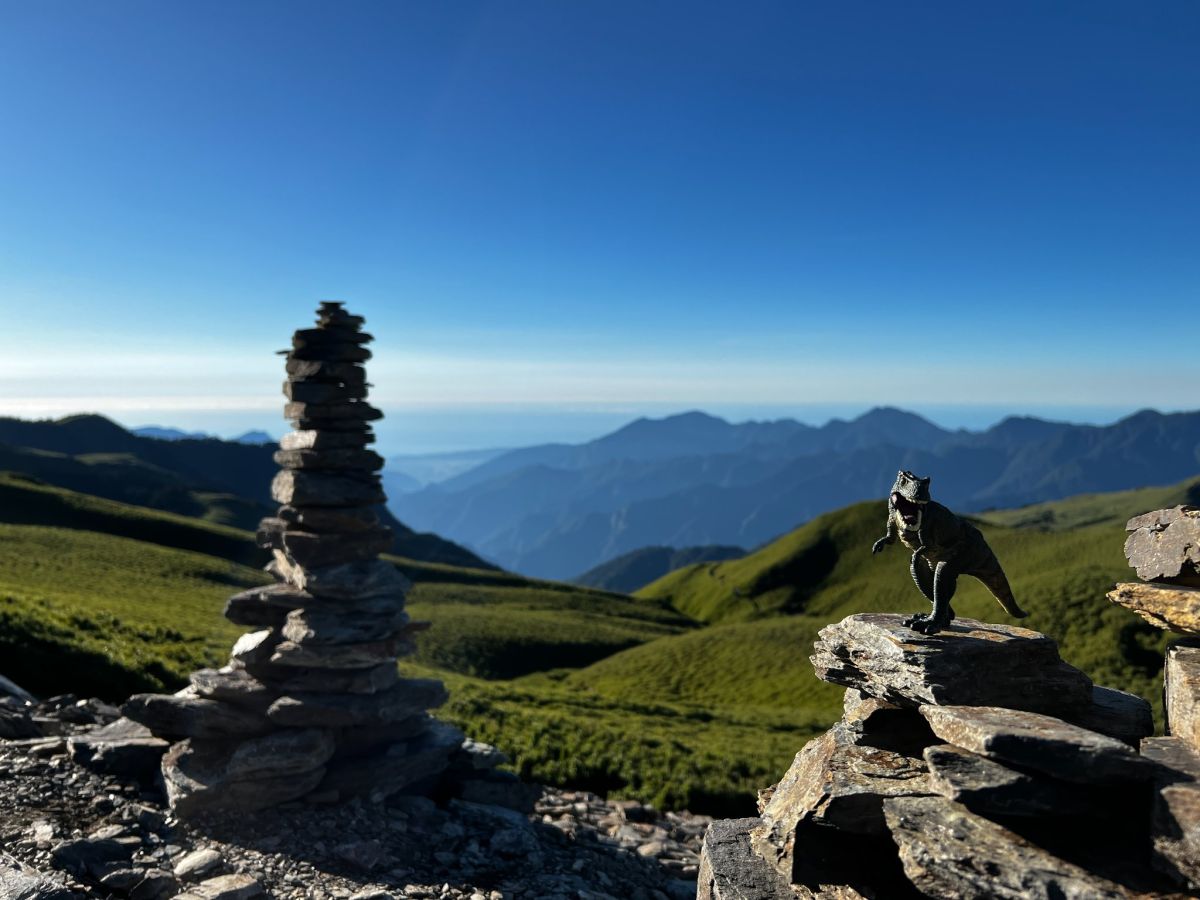 ▲一名網友則分享，近日她帶著「恐龍公仔」挑戰奇萊南峰，不過卻不小心將其遺忘在山上，希望有山友能協助帶下山，怎料該公仔竟變成「新景點」。（圖／翻攝自天池山莊大小事）