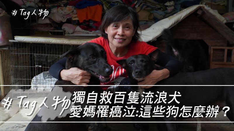 Tag人物/獨自救百隻流浪犬 愛媽罹癌泣:這些狗怎麼辦?