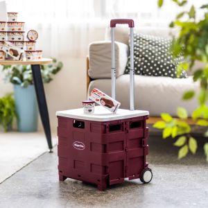 ▲全家買20件哈根達斯指定商品,可用499元加購摺疊購物車,或是買滿40件直接免費送一台。(圖/業者提供) ▲全家買20件哈根達斯指定商品,可用499元加購摺疊購物車,或是買滿40件直接免費送一台。(圖/業者提供)
