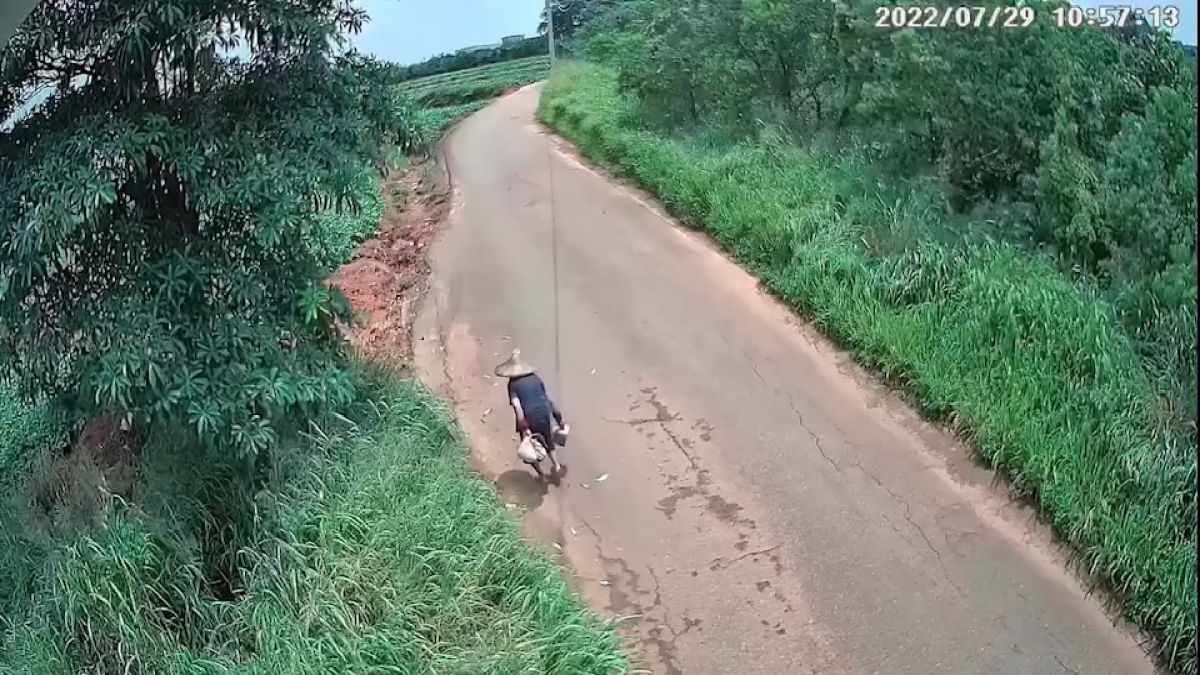 ▲台中環保局架設的遠端影像監控設備協助尋人，80歲走失阿嬤「入鏡」被尋獲，家屬感謝環保局暖心助人。（圖／環保局提供）