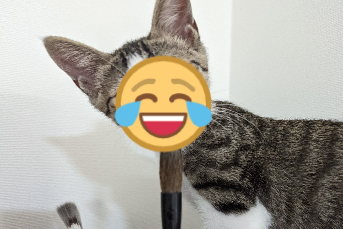 ▲日本一隻貓咪對飼主畫畫用的筆相當好奇，竟然用鼻孔去吸筆！（圖／推特帳號citrocube）