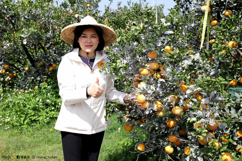 ▲張麗善表示，柑橘類是雲林縣重要的農產品，中國禁止進口的不理性做法，將影響農民生計。（圖／張麗善臉書，2022.08.03）