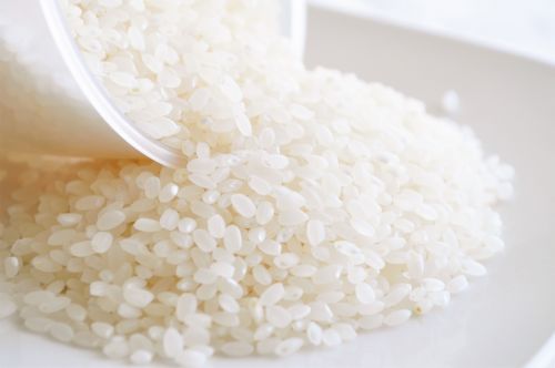 飼料米不用搗碎？業界憂混充食用米　陳駿季揭把關措施
