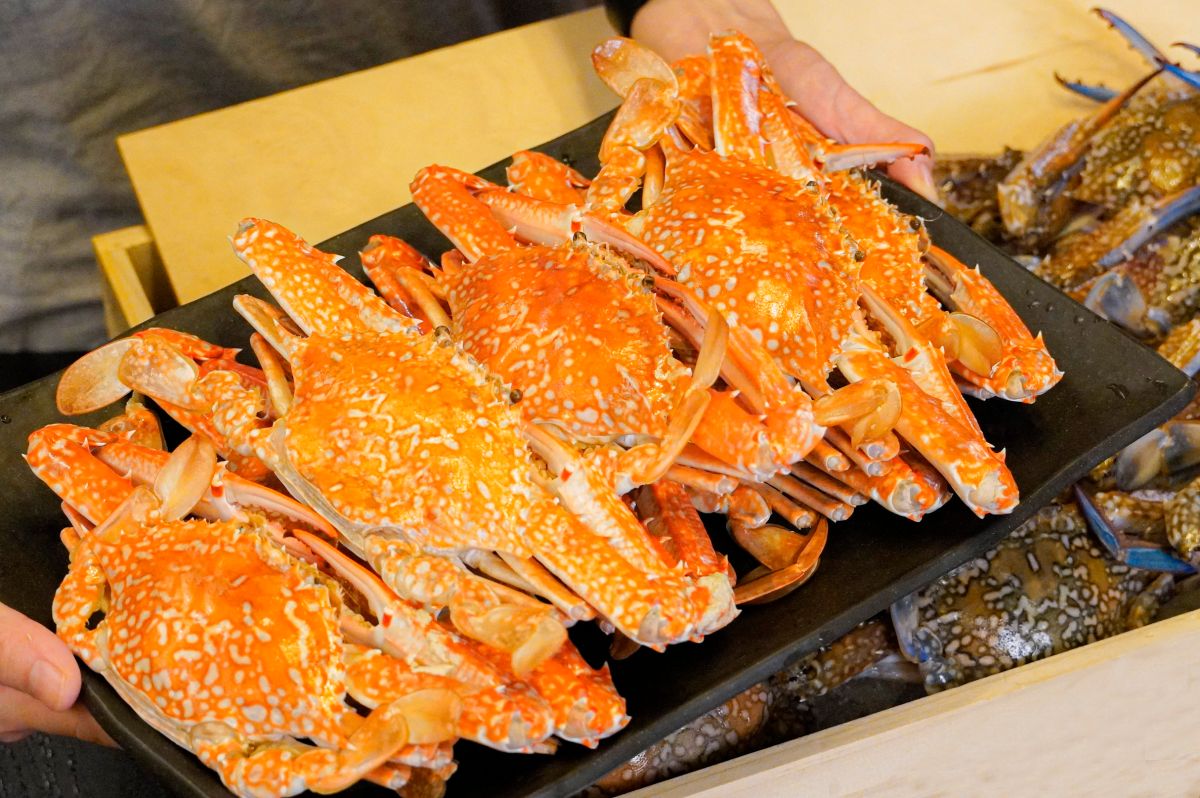 ▲宮廷火鍋問鼎慶祝父親節，推出快閃吃到飽方案，對中身分證或姓名再升級「佐渡花蟹」無限量供應。（圖／業者提供）