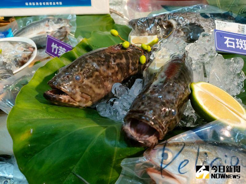 ▲預計10月上旬學校午餐就會出現石斑魚。（圖／記者許若茵攝，2022.08.08）