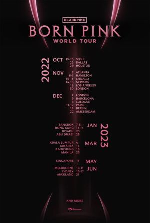 ▲BLACKPINK官方公布第二次世界巡迴演唱會《BORN PINK》巡演場次。（圖／翻攝自BLACKPINK臉書）