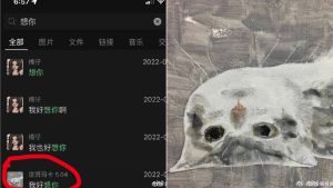向涵之的好友公開她的微信頭像,是一隻貓咪。(圖/取自東方網娛樂微博) ▲向涵之的好友公開她的微信頭像,是一隻貓咪。(圖/取自東方網娛樂微博)