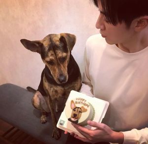 ▲李國毅養米克斯愛犬「威廉」。(圖/翻攝李國毅IG) ▲李國毅養米克斯愛犬「威廉」。(圖/翻攝李國毅IG)