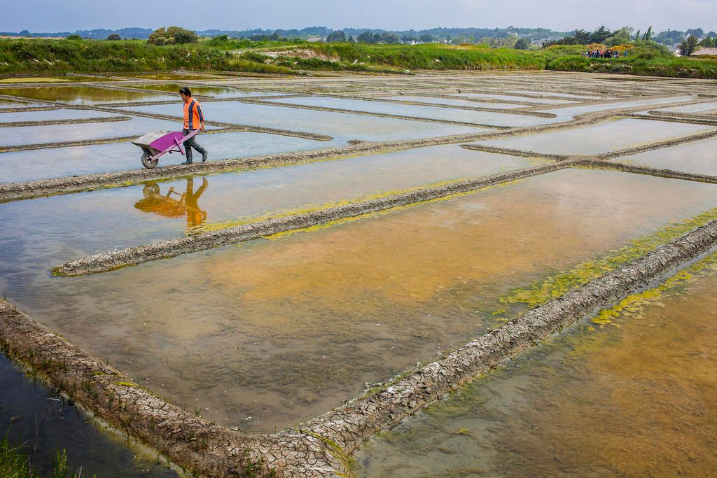 ▲法國蓋朗德地區所生產的鹽巴被稱譽為是世界上最好的鹽之一。（圖／美聯社／達志影像）