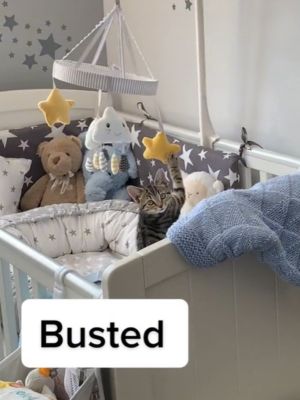 ▲這天飼主走進嬰兒房，發現小貓正在玩嬰兒床上的玩具吊飾。（圖／TikTok帳號charleyellis94）