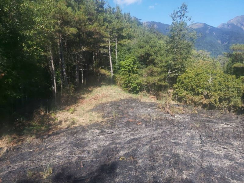 台中馬武霸山森林火警！延燒近23小時　燃燒面積2.5公頃
