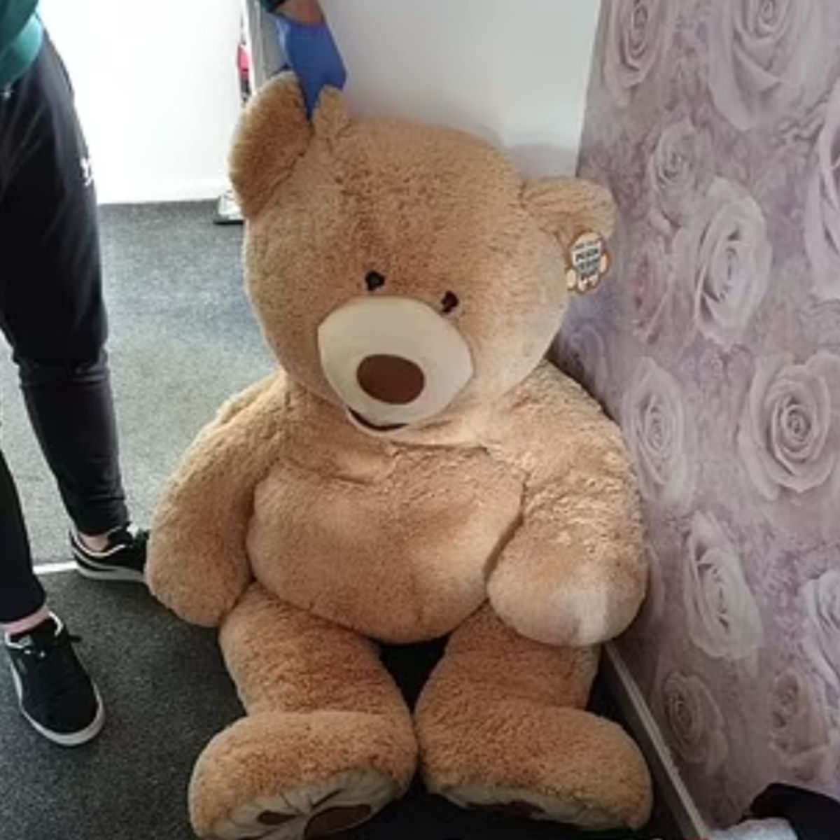 ▲英國1名偷車賊為了躲避警察追捕，竟異想天開，硬鑽入1隻大熊布偶內。（圖／翻攝自每日郵報）