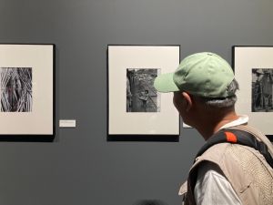 業配 ▲這張照片由葉裁拍攝於1965年,真實記錄了地方社會生活樣貌,畫面中打赤腳年幼的女孩,為分攤家中經濟,在近中午時分提著熱騰騰的麵食,沿著鐵軌向列車乘客叫賣。(圖/資料照片)