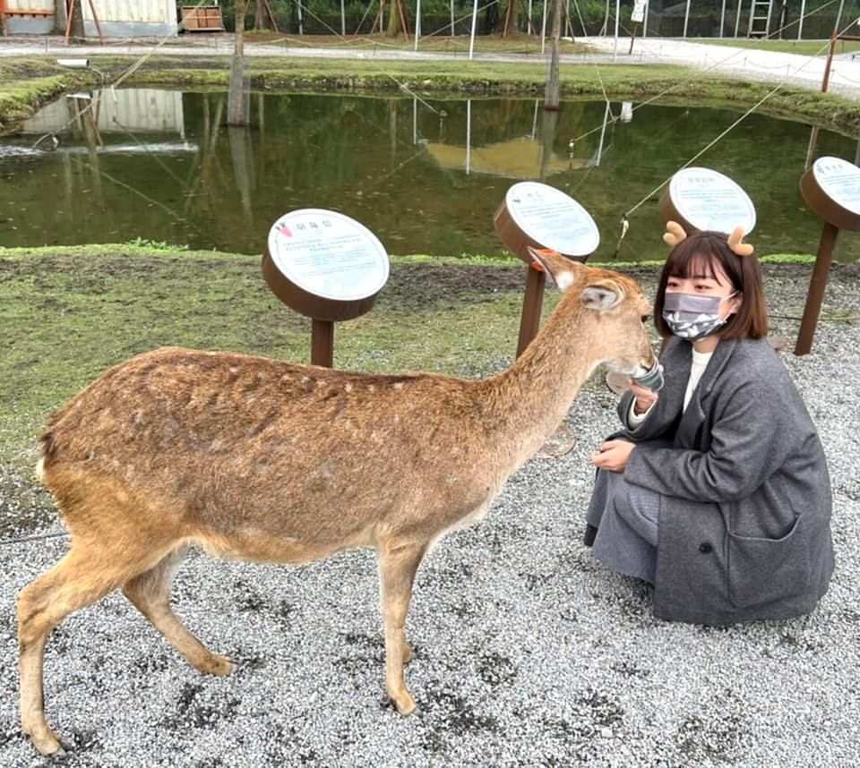 ▲林穎孟表示，自己不喜歡為了權為了勢，不惜造假毀滅他人的政治，所以會繼續戰鬥下去。（圖／翻攝自林穎孟臉書）