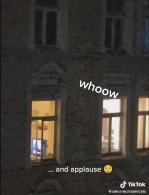 ▲(圖/翻攝自TikTok @thegirlwithanoseandeyes) ▲(圖/翻攝自TikTok @thegirlwithanoseandeyes)