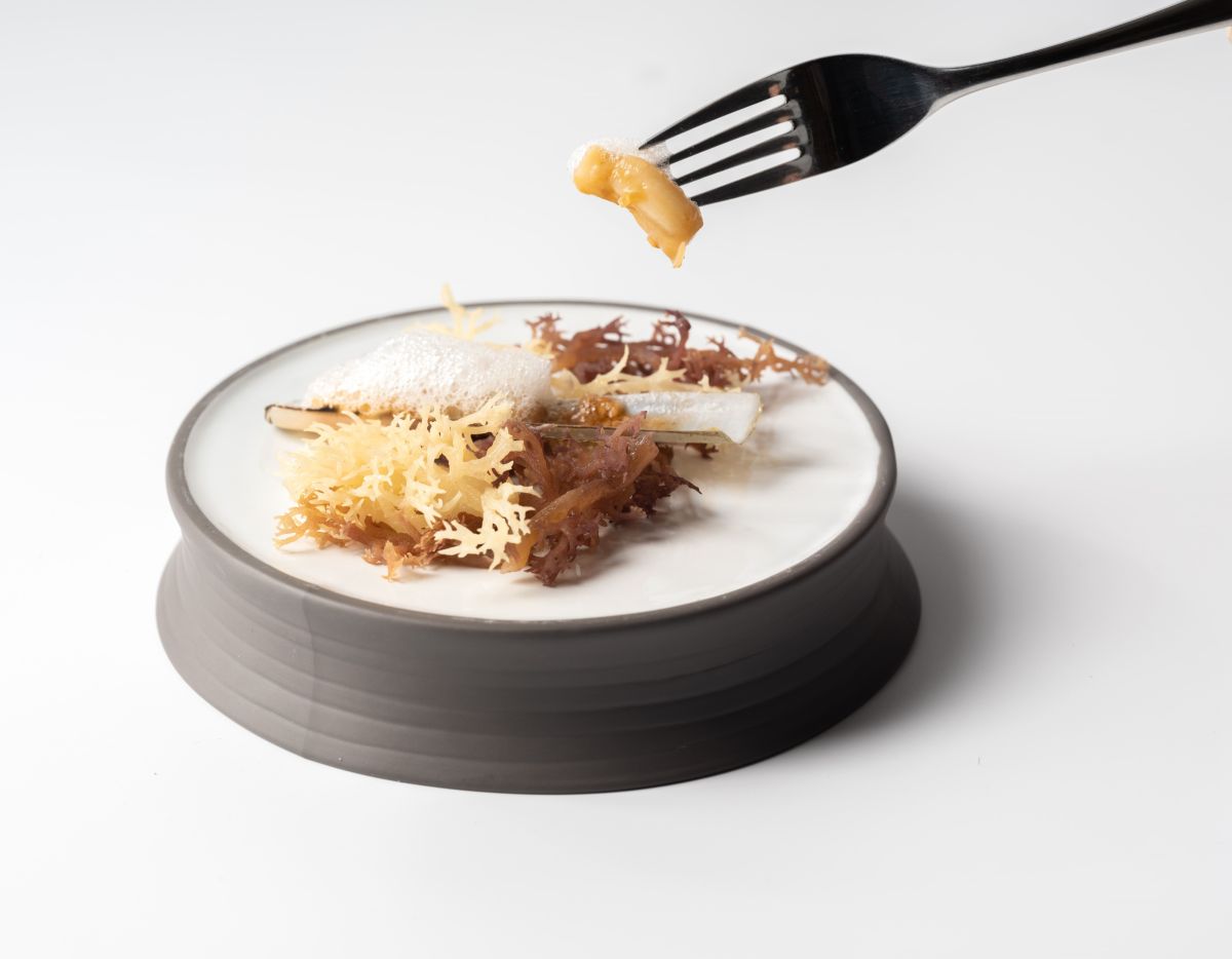 ▲米其林傳奇餐廳Molino de Urdániz渥達尼斯磨坊，開設於台北慕舍酒店，是全台唯一吃得到米其林早餐之處，今年推出季節鮮魚和西班牙風味肉類料理兩款全新菜色；午晚餐則以「藻礁」、「燎原」、「竹筏」為名，把自然生態之美端上桌。（圖／慕舍酒店提供）