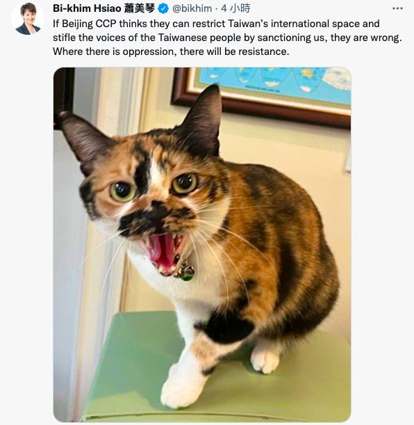 ▲針對被中國列台獨分子名單,駐美代表蕭美琴在推特貼出愛貓「阿花」惡狠狠低吼的照片反嗆。(圖/翻攝自https://twitter.com/bikhim?lang=zh-Hant)