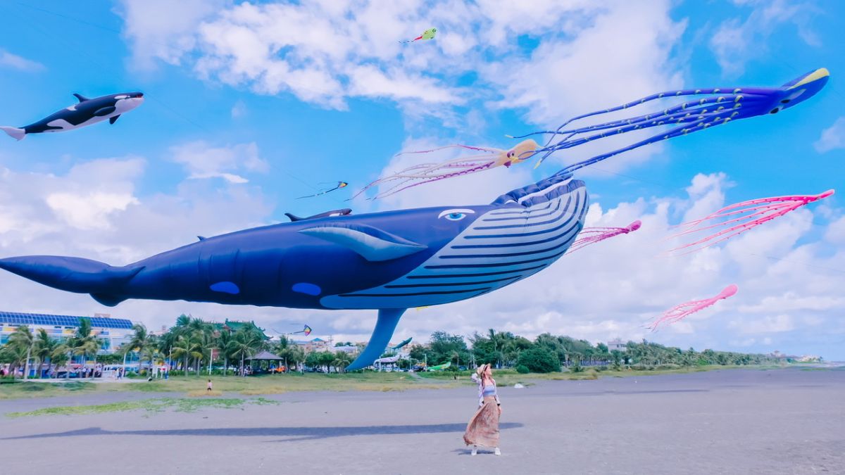 ▲海洋生物首度空中大會師，讓旗津天空頓時化身海洋世界。（圖／高市府觀光局提供）