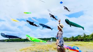 ▲「2022旗津風箏節」是高雄首度舉辦的大型風箏展演活動，以大魚世界為主題。（圖／高市府觀光局提供）
