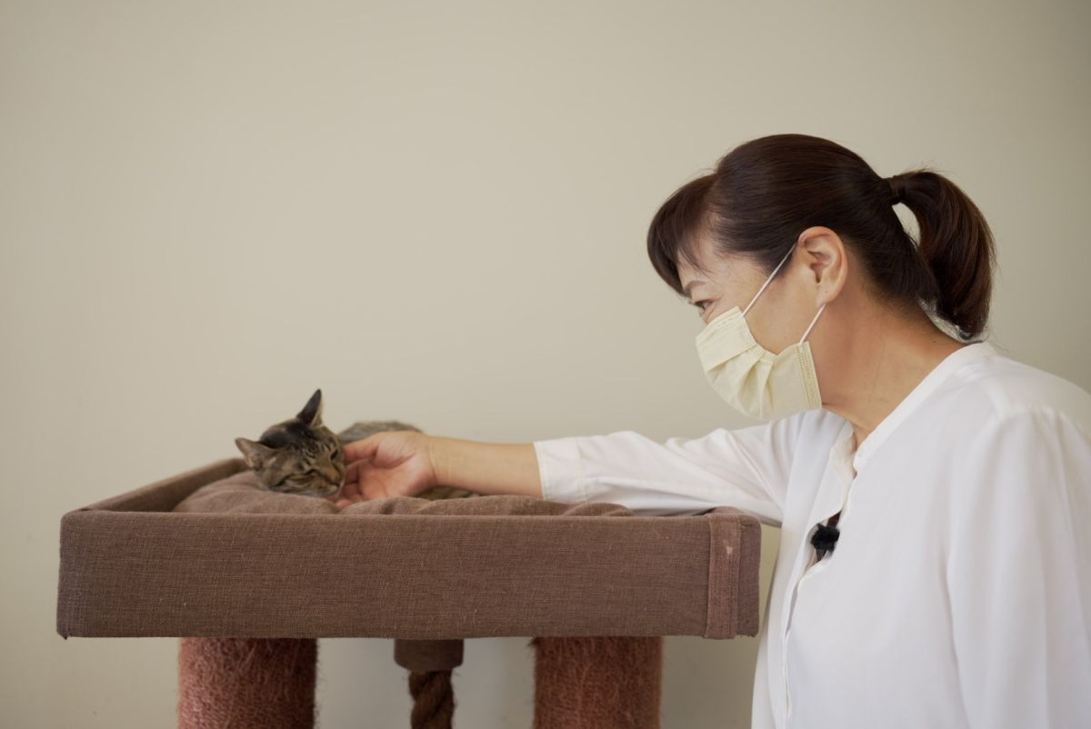 ▲沈慧虹說，新竹市民理性、理智，看的是政見，選的是未來，她未來會持續努力，讓更多市民看見她對新竹市的願景。（圖／沈慧虹辦公室提供）