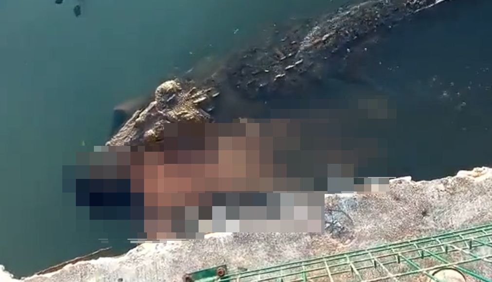 ▲一名男子日前疑因擅自跳進公園水域游泳，結果卻遭到鱷魚獵殺，慘死在鱷魚口中。（圖／翻攝twitter@neekocidio）