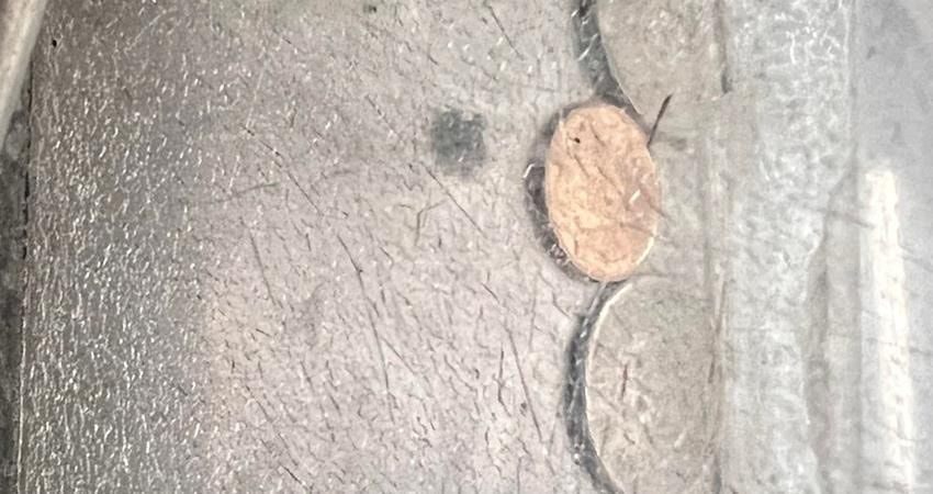 ▲有位公車司機氣憤表示，自己提醒一位高中生少投錢，沒想到對方的惱羞反應也讓他相當無奈。（圖／翻攝《爆怨公社》）