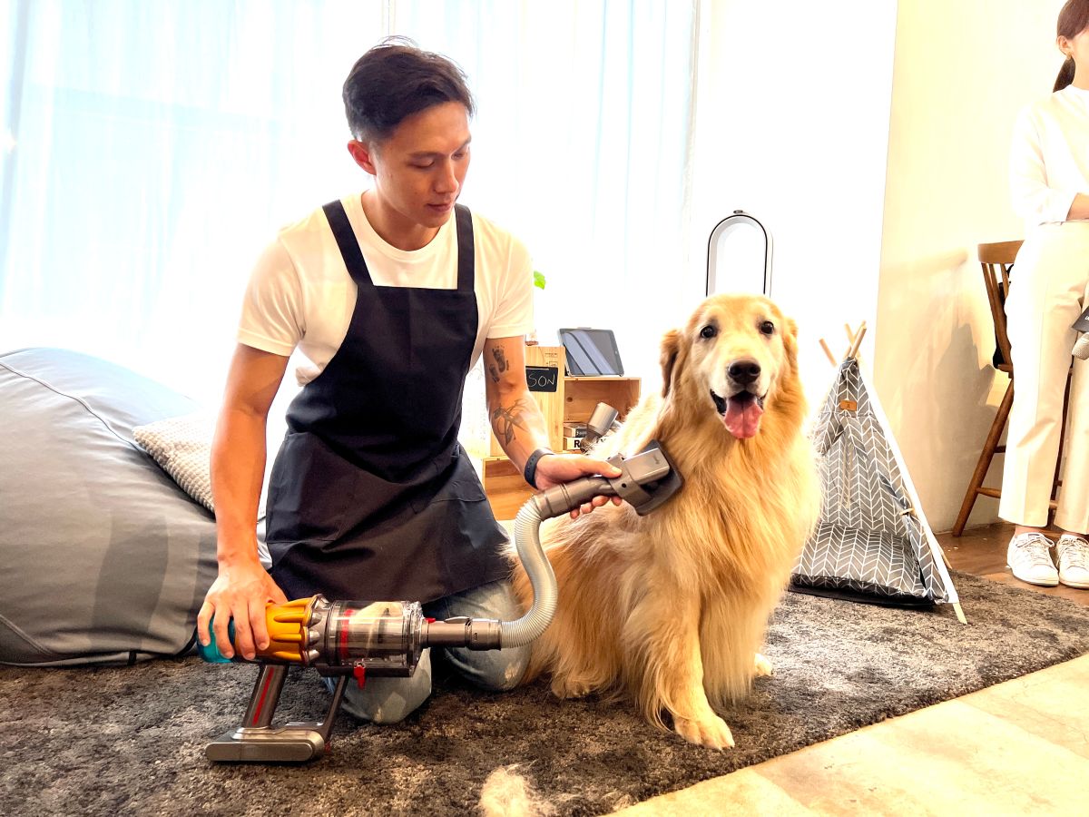 ▲Dyson 搶攻毛孩商機，推出V12、V15升級版且寵物專用刷頭同步亮相。（圖／記者周淑萍攝）