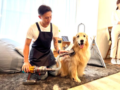 ▲Dyson V12、V15升級版。（圖／記者周淑萍攝）