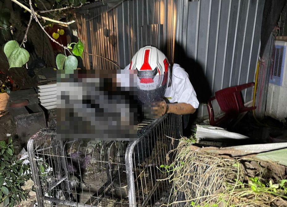 ▲八里區挖子尾街附近1層樓鐵皮屋，晚間10時37分許起火，這場大火雖未造成員傷亡，但屋內2隻毛小孩被燒成焦屍，屋主聞訊趕抵後，抱著愛犬焦屍痛哭失聲。（圖／翻攝畫面）