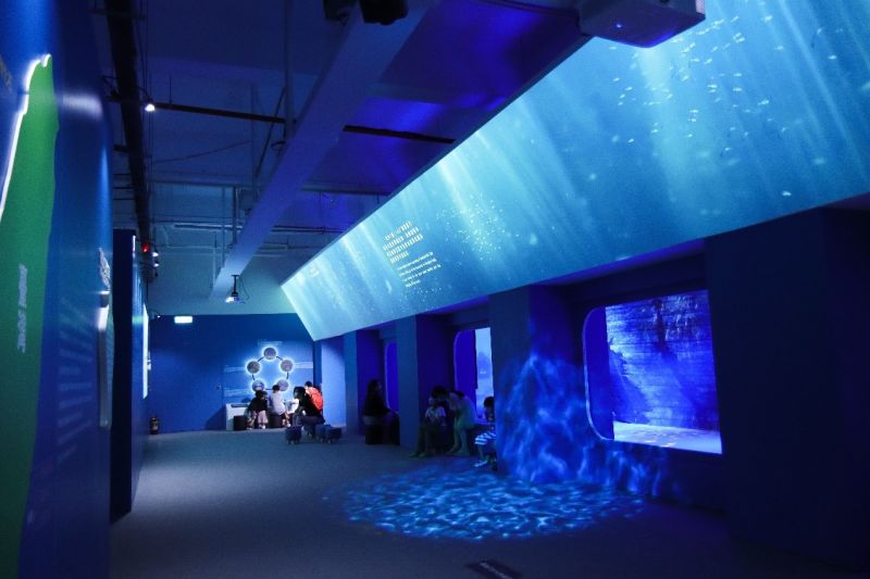 ▲展覽以模擬水下考古博物館空間概念，讓觀眾彷彿沉浸於水下海底世界。（圖／資料照片）