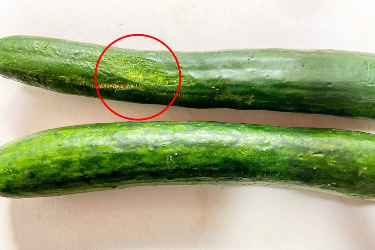 ▲小黃瓜冰久全變枯黃，日本達人1招起死回生：「飽滿又清脆」。（圖／Twitter：sinyasai） 