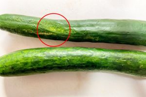 小黃瓜冰久全枯黃！達人「1招」起死回生：飽滿又清脆
